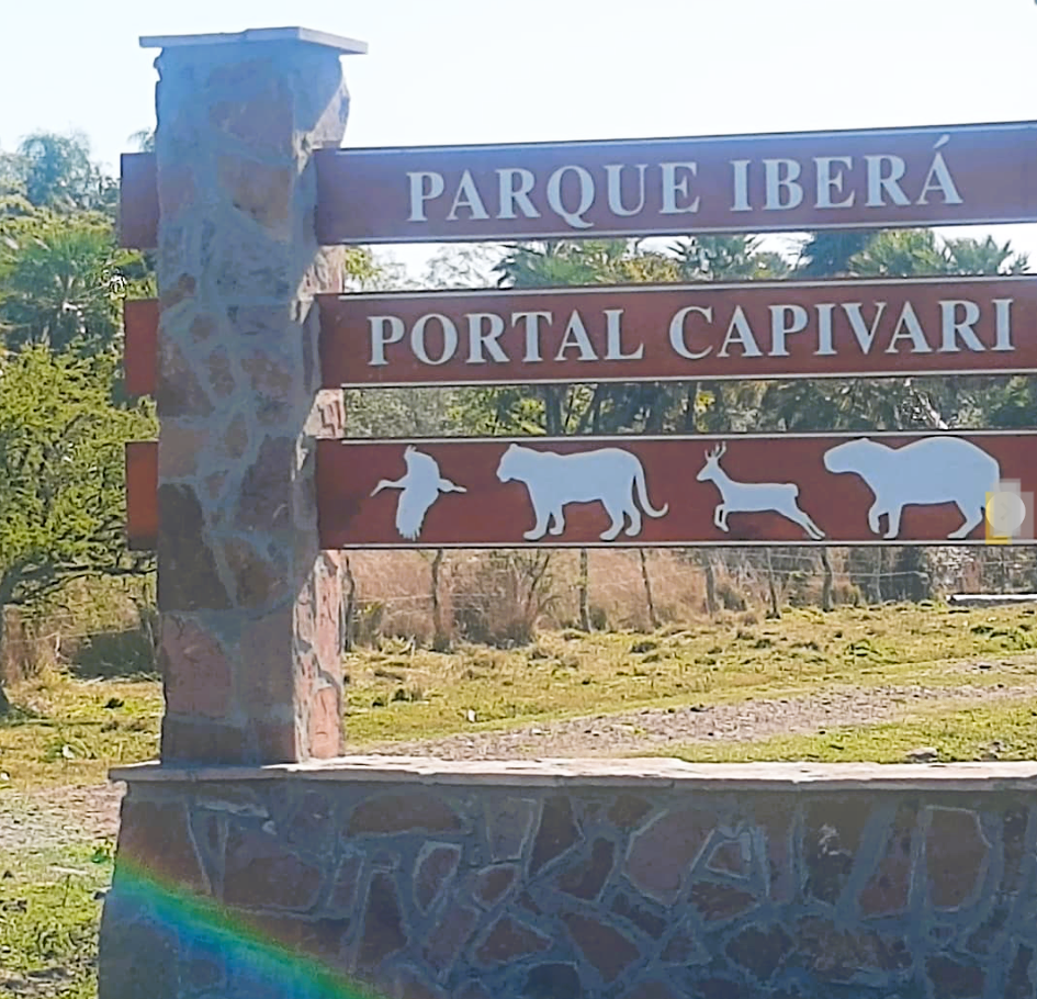 Vista panorámica de los Esteros del Iberá